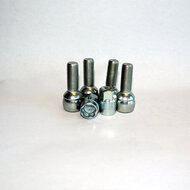 Wielslot/Velgslot speciaal voor Ford Galaxy tot 08/2006 Complete set