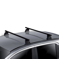 Green Valley dakdragers DS 3 3 deurs hatchback 2010 t/m 2019