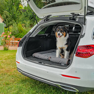 Hondenmat voor achterklep - Met bumperbescherming