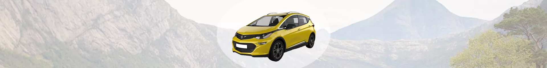 Koop Opel dakdragers voordelig online dakdragerland.nl
