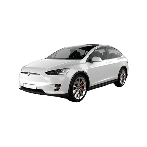 Model X